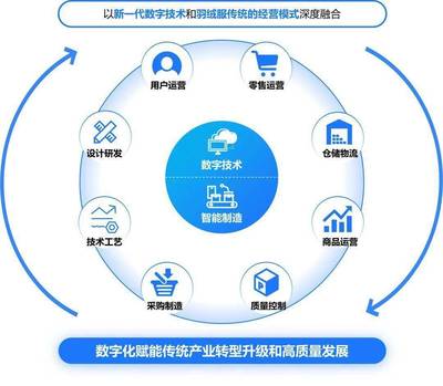 構(gòu)建高效、可持續(xù)的數(shù)字生態(tài)系統(tǒng) 標(biāo)桿項(xiàng)目實(shí)施辦法與數(shù)字技術(shù)服務(wù)路徑