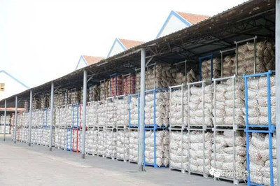 一棵樹、一塊板、一頭蒜,邳州現代農業這篇文章大有所為-財經頻道-手機